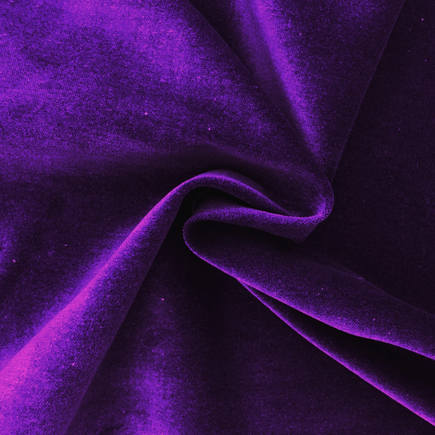 Cotton Velvet Purple